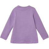 Sweatshirt - A-lijn - Met Glansprint - Zacht - Lange Mouwen