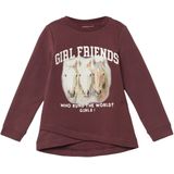 Sweatshirt - A-lijn - Glansprint - Verlengde Achterkant