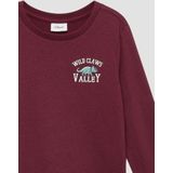 T-shirt - Katoenen Jersey - Normale Pasvorm - Opvallende Profielprint