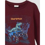 T-shirt - Lange Mouwen - Dinosaurusprint