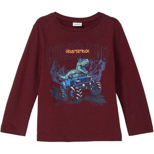 T-shirt - Lange Mouwen - Dinosaurusprint