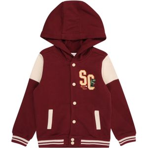 Sweatvest - Studentenjas - Zacht - Met Vaste Capuchon