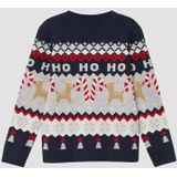 s.Oliver RED LABEL - Kersttrui - Donkerblauw/Grijs - Gebreide Truien