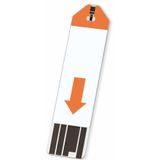 Beurer - GL 44 - Bloedsuikermeter - Zwart - Verlicht XXL-display