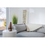 BEURER Luftbefeuchter LB 37, 2 l Wassertank, Mit Ultraschall-Befeuchtungstechnologie