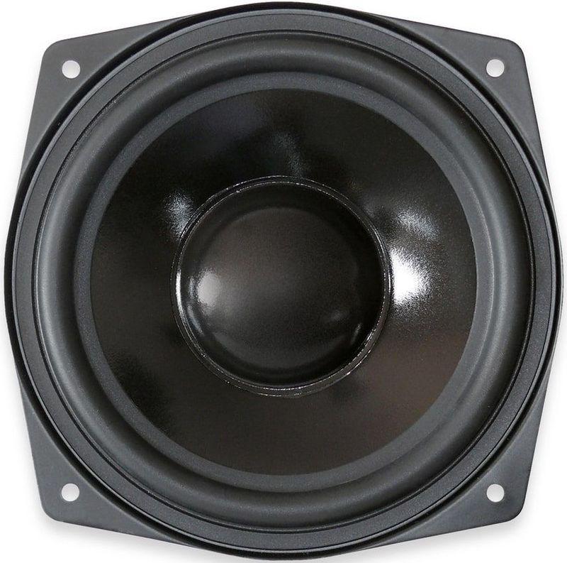 Dynavox - 204206 Basluidspreker - Zwart - Rubberen Balg - Membraan van Polypropyleen