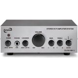 Dynavox CS-PA1 MK2 kleine versterker 60 watt in het zilver