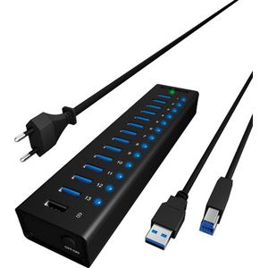 ICY BOX IB-AC6113 USB 3.2 Gen 1-hub 13 poorten Zwart