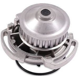 Waterpomp HEPU P515