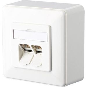 BTR IT CONNECT E-DAT C6 8/8(8) AP Cat.6 - Wanddose - CAT 6 - RJ-45 X 2 - Pure White, RAL 9010