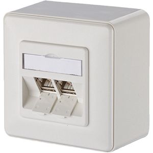 Aansluitdoos - 10 Stuks - Vernikkeld Zinkdrukgietmodule - Voor Netwerken tot 10 Gbit