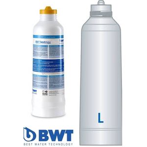 BWT Bestmax L Waterfilterpatroon FS26I00A00