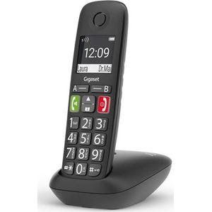 Gigaset E290R HX - big buttons - black - losse handset