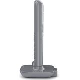 Gigaset CL390A Duo Grijs