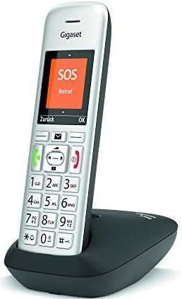 Gigaset E390 [Österreichische Version]