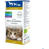 Bach Rescue Pets Druppels (10ml)