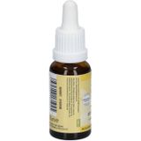 Bach - NO.4 Centaury - Bloesemremedie - 20 ml - Natuurlijke Ingrediënten
