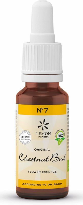 Bachbloesem - N°07 Chestnut Bud - 20ml - Bio Brandewijn