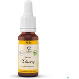Bachbloesem - Chicory - 20ml - Bio - Originale Formule