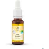 Bachbloesem - Chicory - 20ml - Bio - Originale Formule
