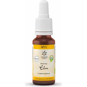 Bloesemtherapie - Iep - Hulpmiddel - Voor mensen met verantwoordelijkheden