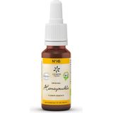 Bachbloesem - N°16 Honeysuckle - 20ml - Bio