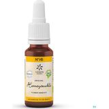 Bachbloesem - N°16 Honeysuckle - 20ml - Bio