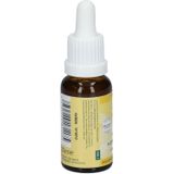 Bloesemtherapie - Haagbeuk - Hulp bij Mentale Vermoeidheid - 20ml