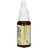 Reuzenbalsemien - Impatiens glandulifera - Bloesemtherapie - 10ml - Natuurlijke Extracten