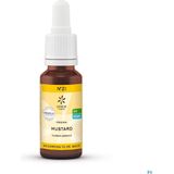 Bloesemtherapie - Herik - 20ml - Natuurlijke Remedies