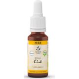 Bloesemtherapie - Zomereik - Extract - Natuurlijk - 10ml