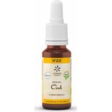 Bloesemtherapie - Zomereik - Extract - Natuurlijk - 10ml