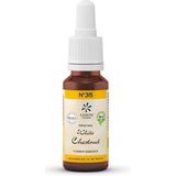 Bach - N°36 Wild Chestnut - Bloesem - 20ml - Bio Brandewijn