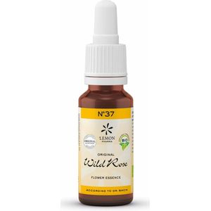 Wild rose bio
