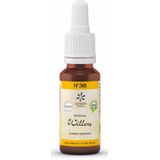 Lemon Pharma - NO. 38 - Bloesemtherapie - 10 ml