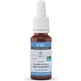 Bach - Bloesemremedie Vertrouwen nr 42 - Bio - Kruidenpreparaat
