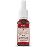 Bach - N°46 - Bloesemtherapie - Cichorei, Beuk, Hulst, Reuzenbalsemien, Wilg, IJzerhard, Wijnstok