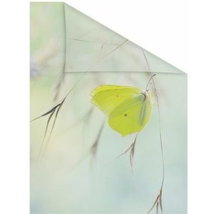 Lichtblick Raamfolie, zelfklevend, met motief, privacybescherming, meervoudig afneembaar, montage zonder rakel, Made in Germany, vlinder, groen, 100 x 130 cm (b x l)