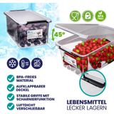 DEUBA Opbergbox Set van 4 - 5l BPA Vrij Stapelbaar - 29,5x20x12cm