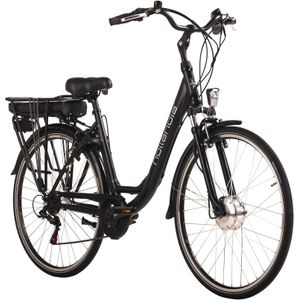 Hollandia E-Citybike Damen Hollandia E-Active 28'' E-Bike 6 Gänge