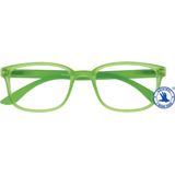 Leesbril X +3.00 Regenboog Groen
