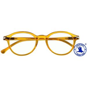 I Need You - Leesbril - Geel - +2.50 dpt - Lensbreedte 46mm, Lenshoogte 38mm, Neusbrug 12mm, Pootlengte 140mm