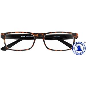 Leesbril I Need You  1.00 dpt Alex havanna-zwart