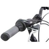 KCP City One Trekkingrad 28 Zoll Urban Bike Trekking Fahrrad 155 - 175 cm mit 7 Gängen anthrazit 53 cm