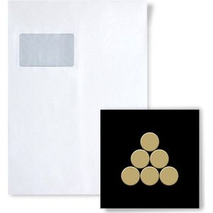 Mozaïek STAAL S-Penny-Ti-GM Collectie Penny titaan Gold hoogglanzend
