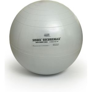 Gymbal voor fitness securemax 65 cm maat 2 grijs