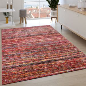 Paco Home Vloerkleed Woonkamer Laagpolig Patroon Berber Patroon Geometrisch Rhombus