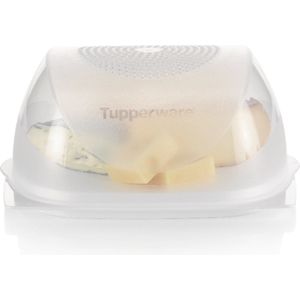 Tupperware Kaasdoos medium