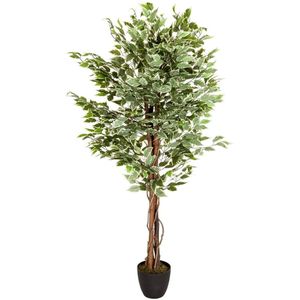 FICUSs-sKunstplant - Groen