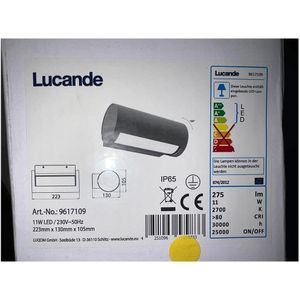 Lucande - LED Wandlamp voor buiten BOHDAN LED/11W/230V IP65